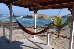 bungalows-hotel-las-aldas-casma-playa-la-gramita-6